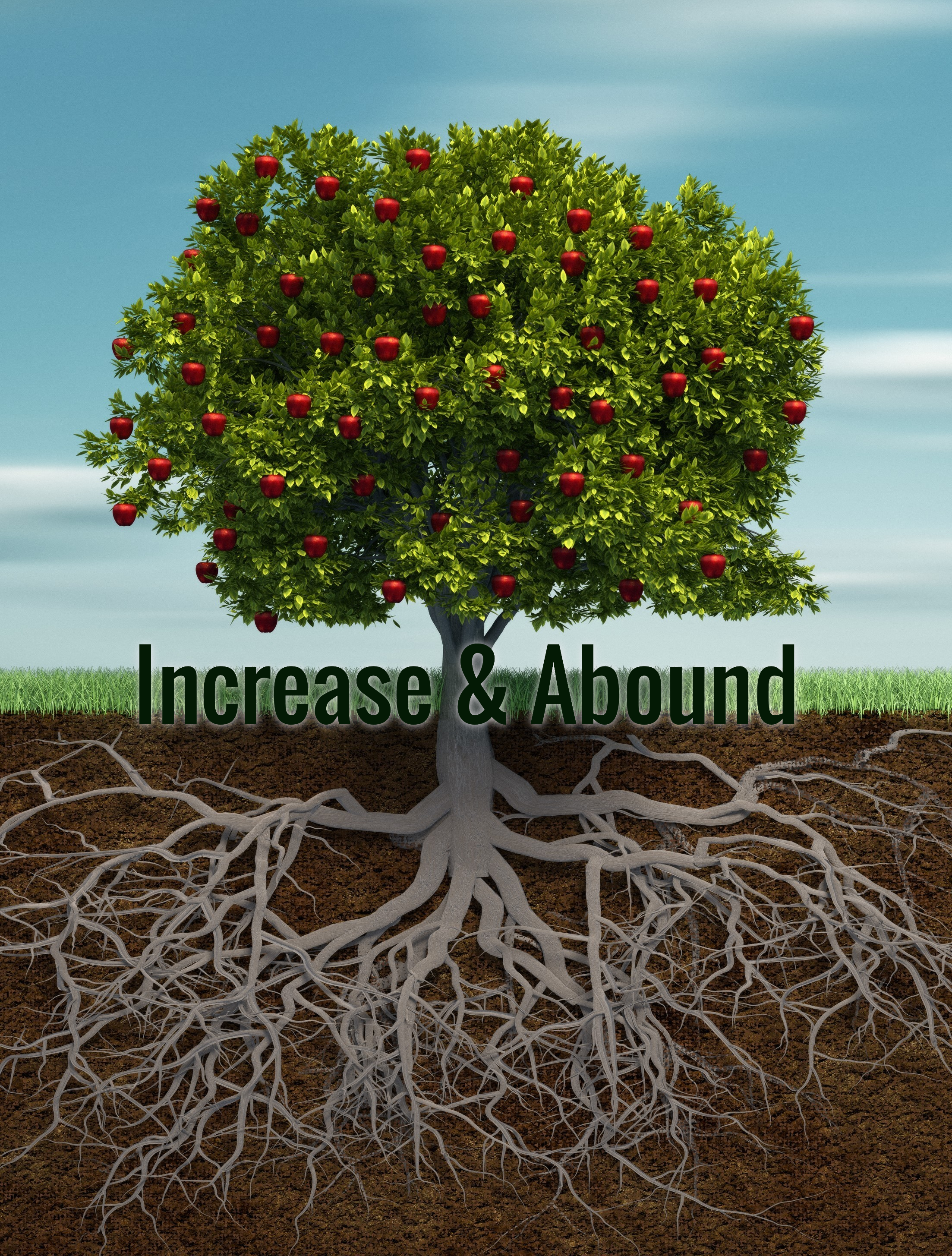 Increase and Abound